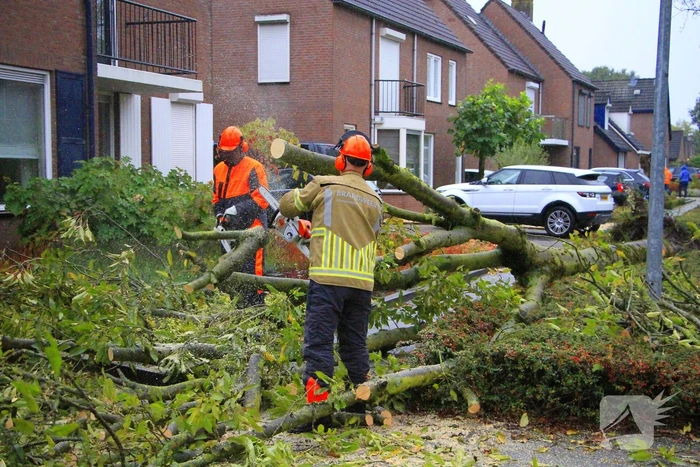 Storm veroorzaakt schade door omgevallen boom