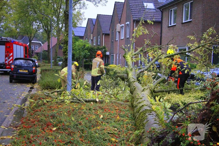Storm veroorzaakt schade door omgevallen boom