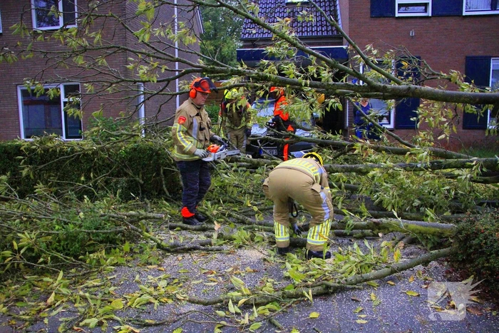 Storm veroorzaakt schade door omgevallen boom