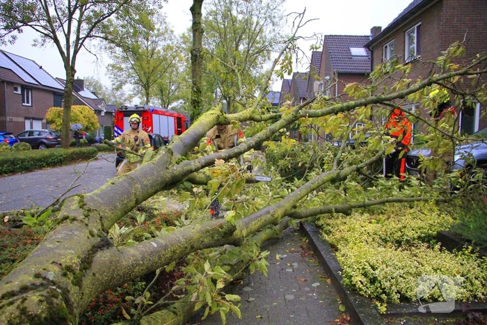 Storm veroorzaakt schade door omgevallen boom