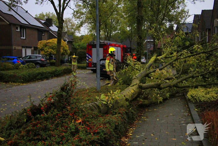 Storm veroorzaakt schade door omgevallen boom