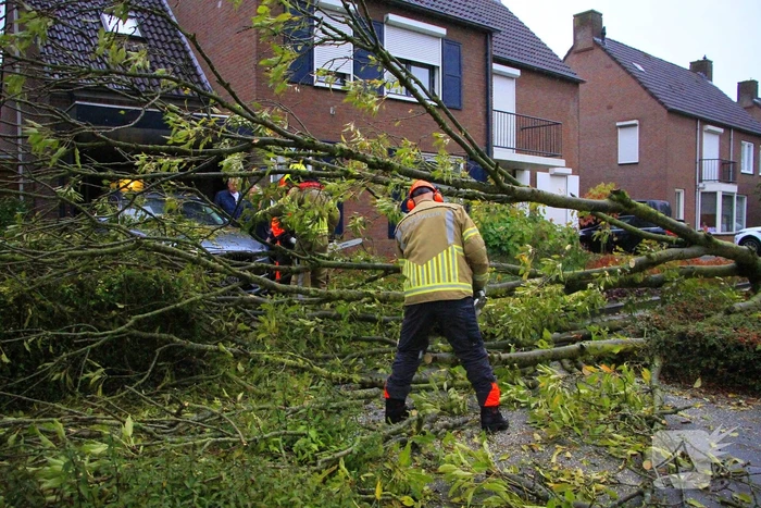 Storm veroorzaakt schade door omgevallen boom