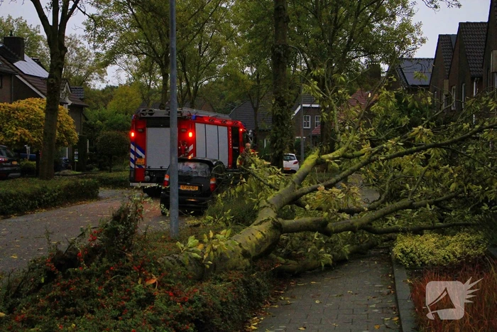 Storm veroorzaakt schade door omgevallen boom