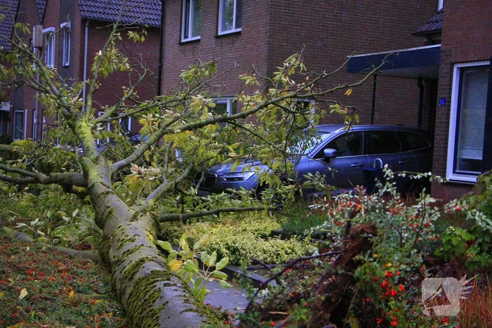 Storm veroorzaakt schade door omgevallen boom