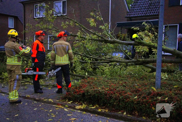 Storm veroorzaakt schade door omgevallen boom