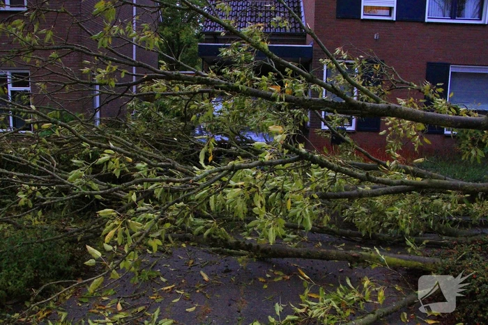 Storm veroorzaakt schade door omgevallen boom
