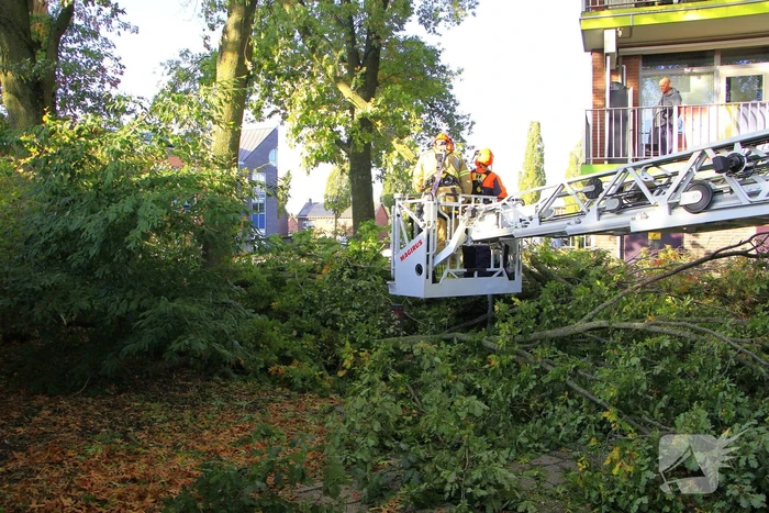 Storm veroorzaakt schade door afgebroken takken