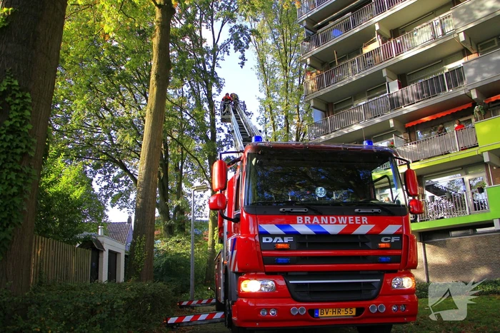 Storm veroorzaakt schade door afgebroken takken