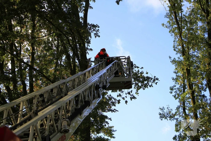 Storm veroorzaakt schade door afgebroken takken