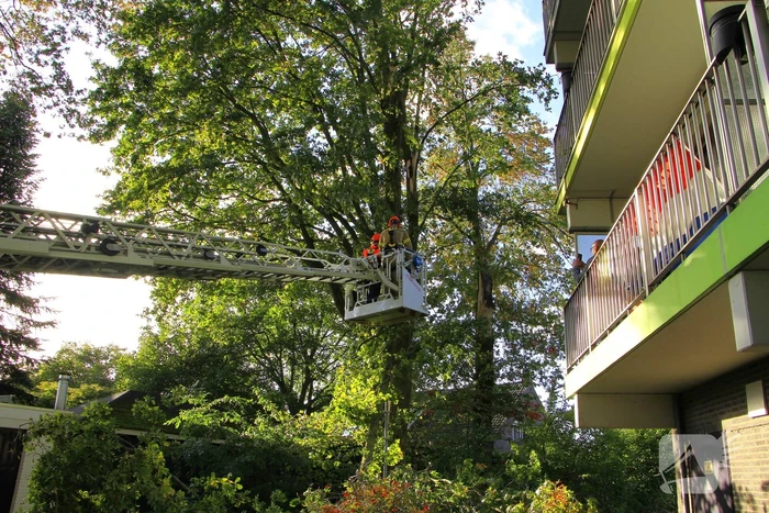 Storm veroorzaakt schade door afgebroken takken