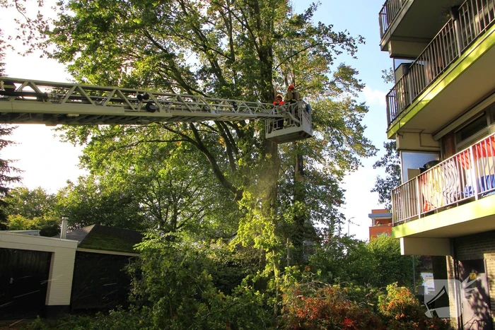 Storm veroorzaakt schade door afgebroken takken