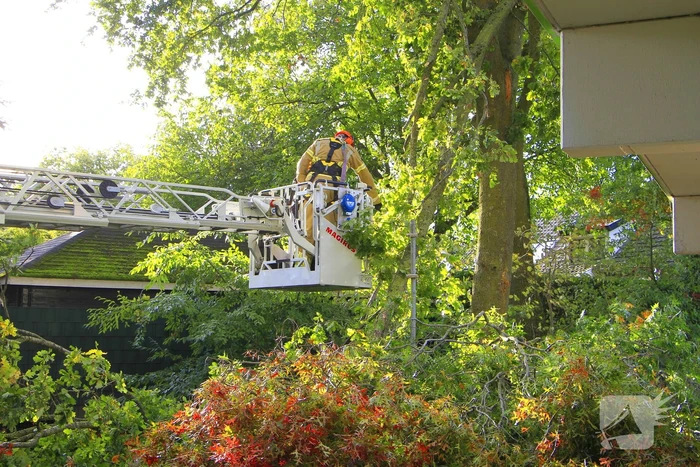 Storm veroorzaakt schade door afgebroken takken