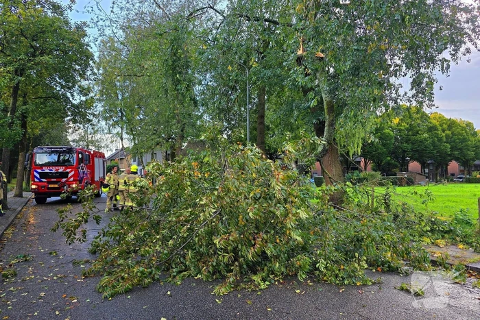 natuur fred bantinglaan bennekom