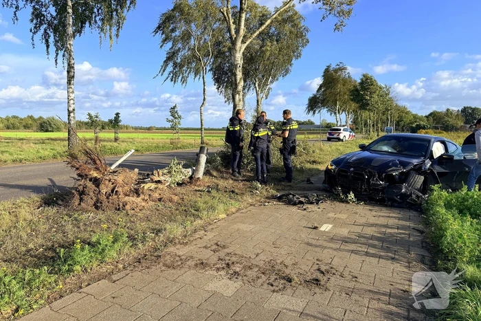 Auto vliegt uit de bocht en botst tegen boom