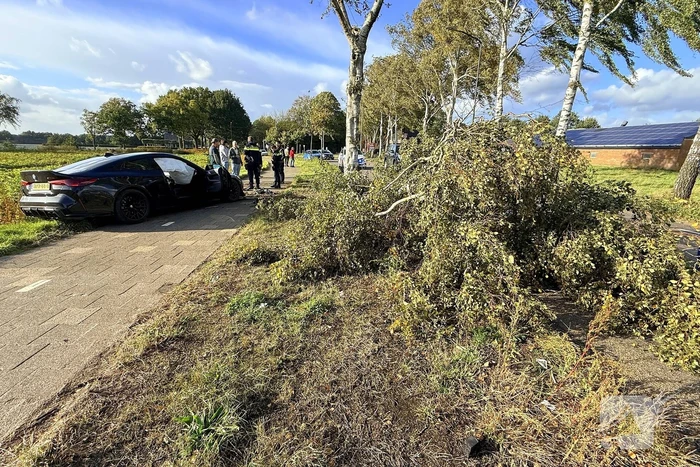 Auto vliegt uit de bocht en botst tegen boom