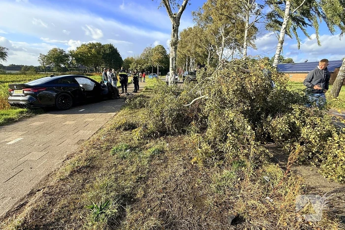 Auto vliegt uit de bocht en botst tegen boom