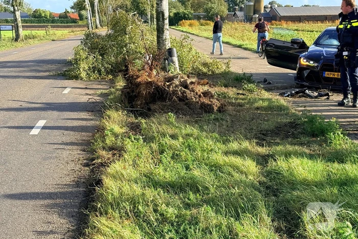 Auto vliegt uit de bocht en botst tegen boom