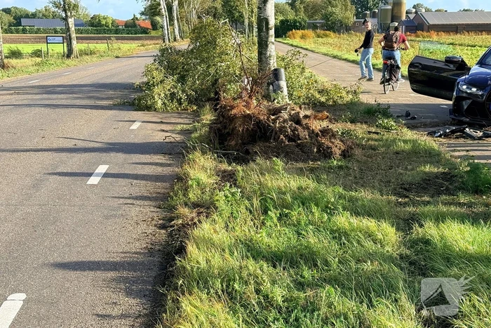 Auto vliegt uit de bocht en botst tegen boom