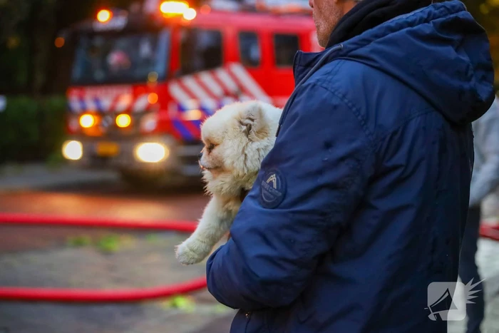 Dode bij grote brand in flat, brandweerlieden onwel