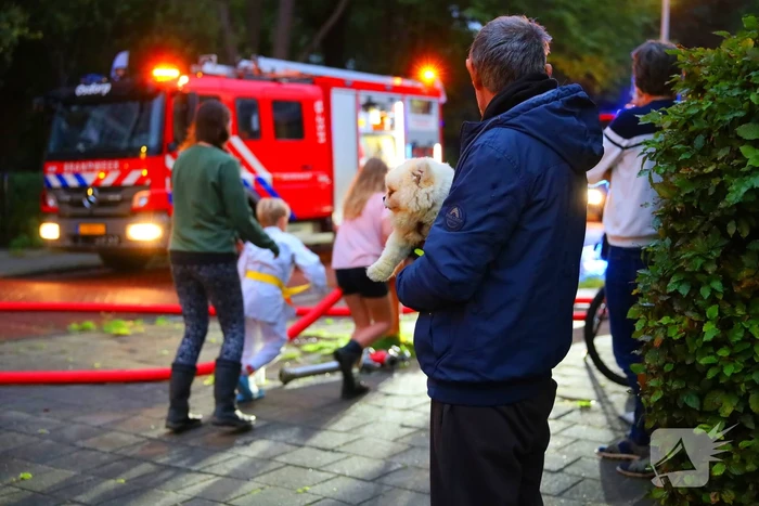 Dode bij grote brand in flat, brandweerlieden onwel