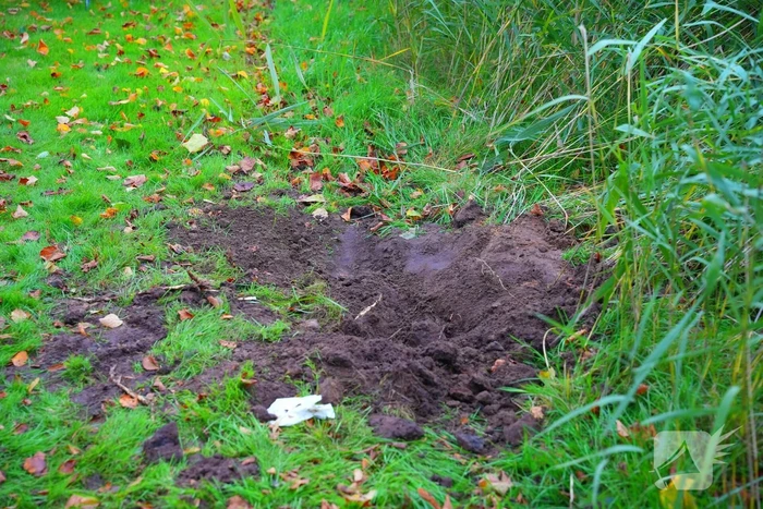 Explosieven gevonden nabij speeltuin