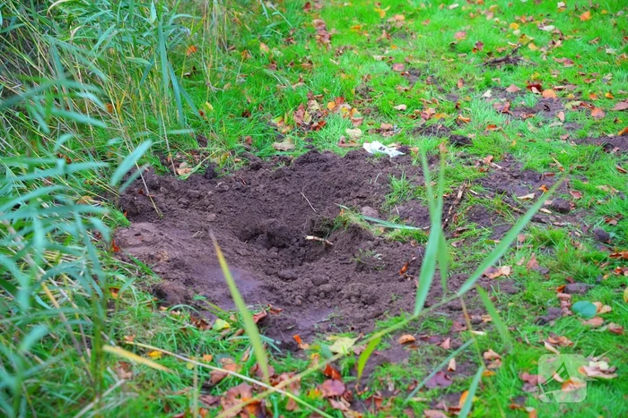 Explosieven gevonden nabij speeltuin