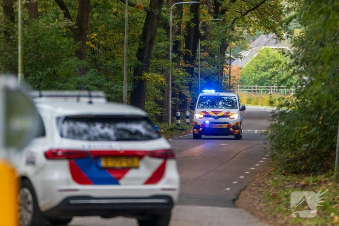 Auto botst tegen trein, man gewond