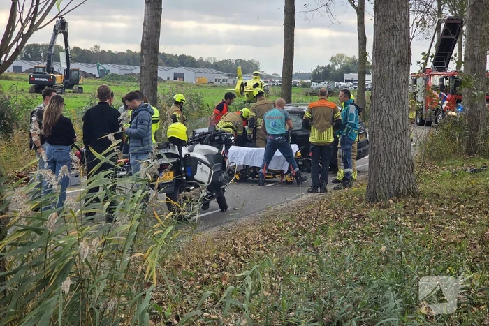 Zwaargewonde na botsing tegen boom