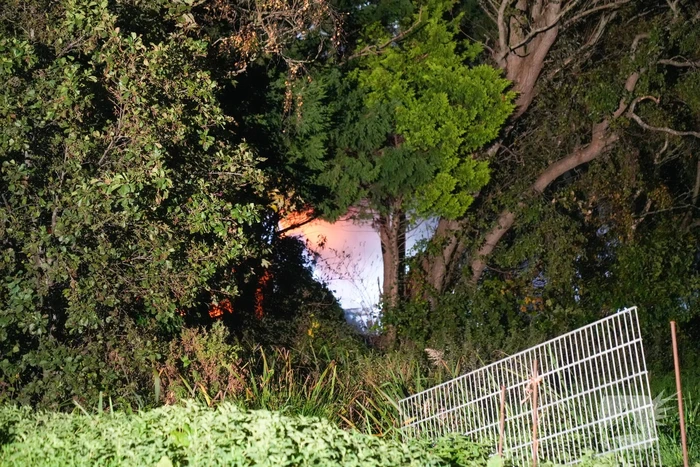 Woningbrand met veel bomen