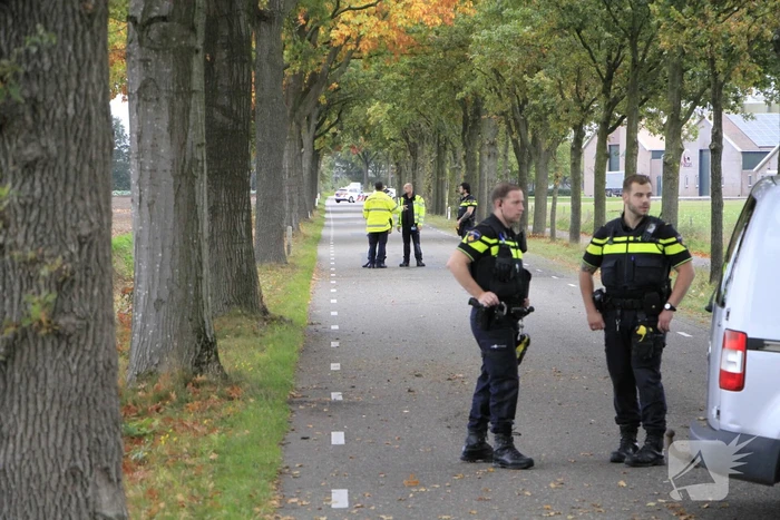 Bestelbus botst tegen boom