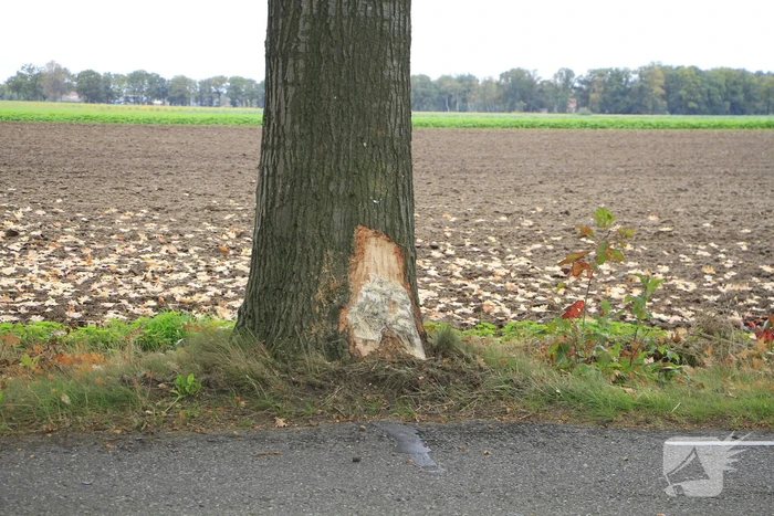 Bestelbus botst tegen boom