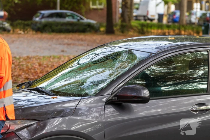 Wielrenner komt met de schrik vrij na aanrijding met auto