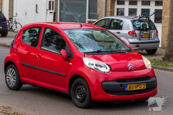 Kind (10) doodgereden bij aanrijding
