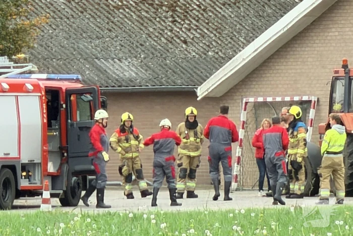 Varkens raken in de problemen bij mestput