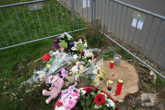 Herdenkingsplek groeit gestaag
