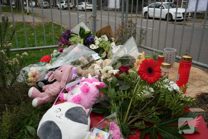 Herdenkingsplek groeit gestaag