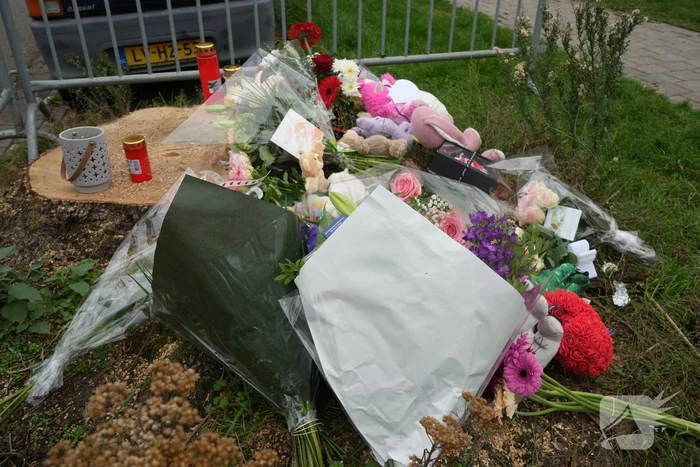 Herdenkingsplek groeit gestaag