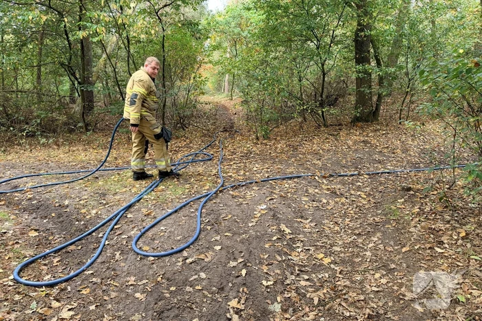Meerdere kleine bosbrandjes in de regio