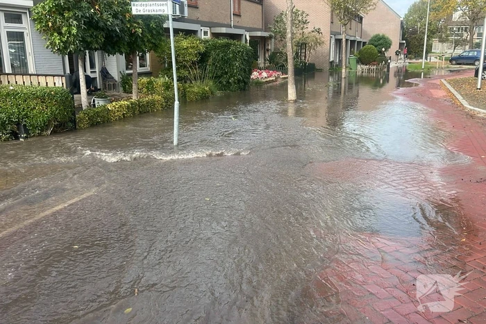 nieuws de lente zevenhuizen
