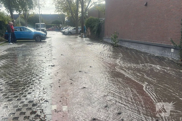 Schuttingplaatsing veroorzaakt lekkage