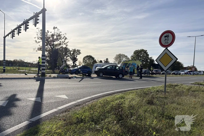 Automobilist rijdt verkeerslicht uit de grond