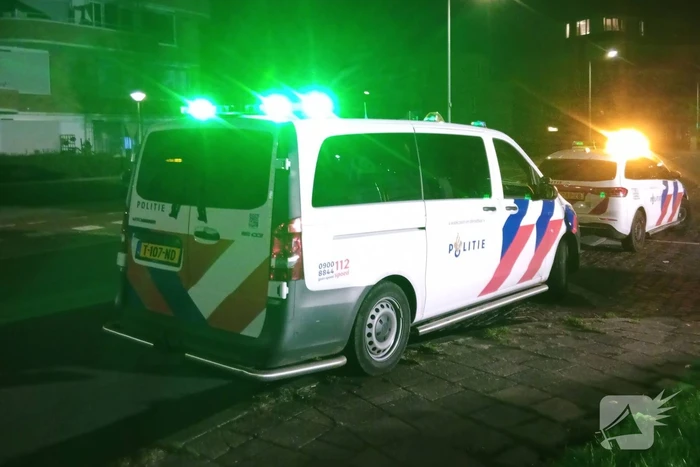 Brand verwoest auto