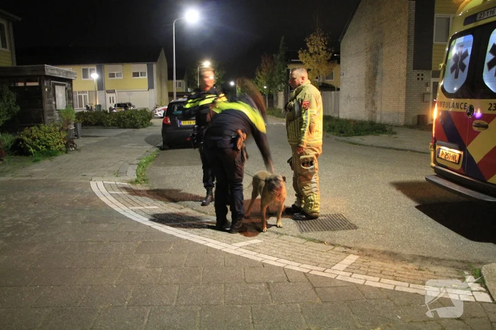 Brand in woning door pan op het vuur