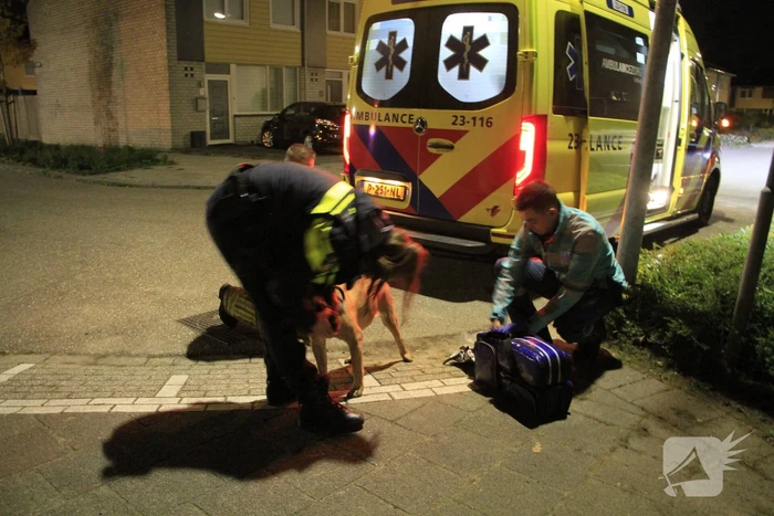 Brand in woning door pan op het vuur