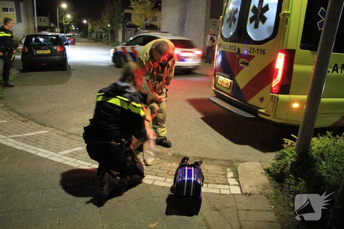 Brand in woning door pan op het vuur