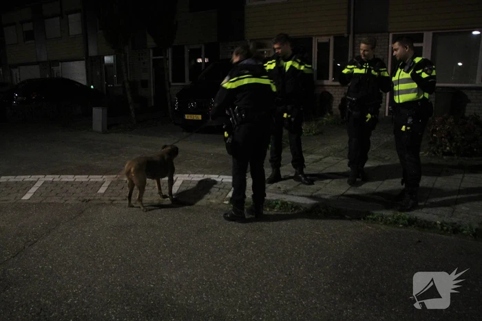 Brand in woning door pan op het vuur