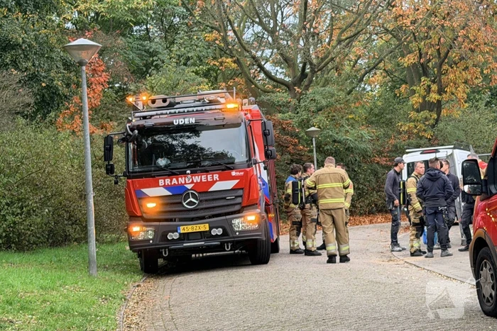 ongeval raamsingel uden