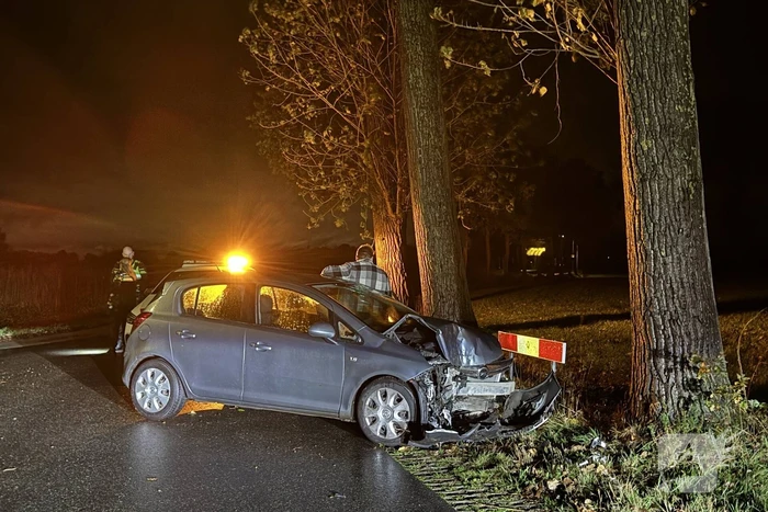 Automobilist botst tegen boom en raakt gewond