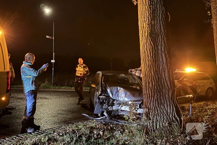 Automobilist botst tegen boom en raakt gewond