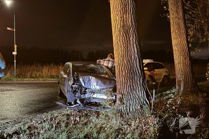 Automobilist botst tegen boom en raakt gewond